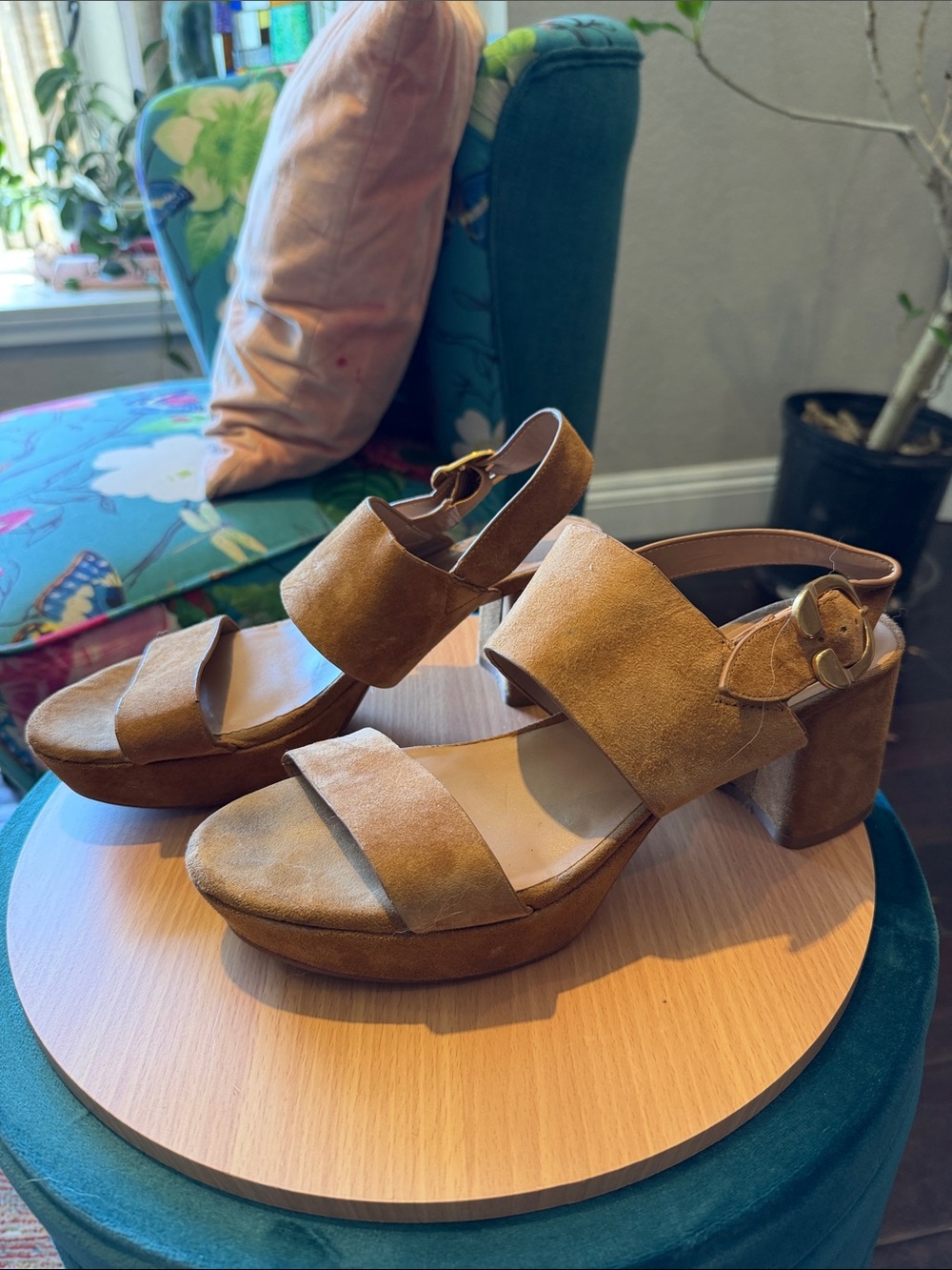 Aerosoles Camera Suede Wide-Strap Platform Sandals EUC! - Picture 2 of 9